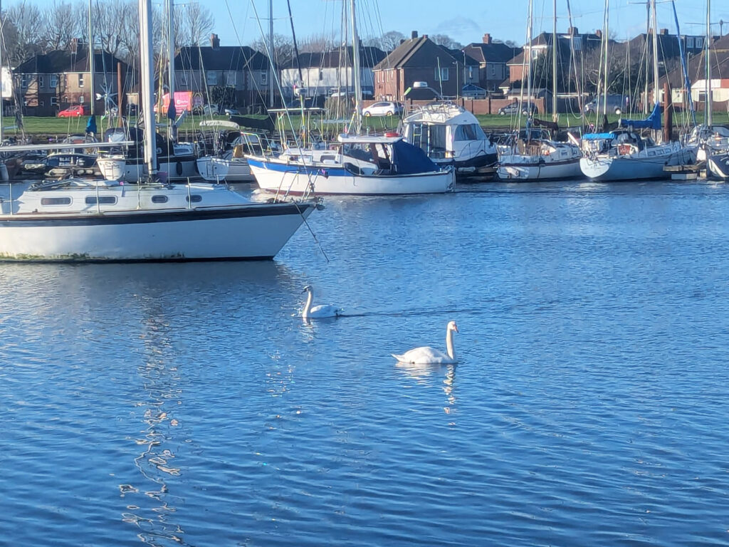 Find local web designers in Fareham